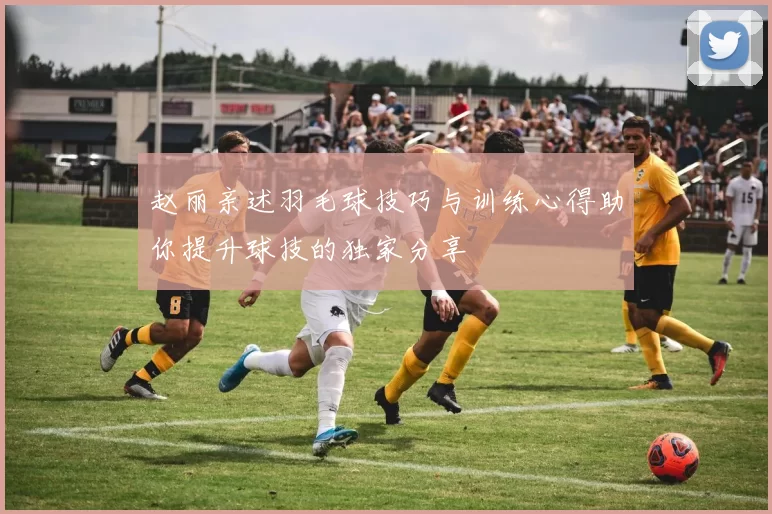 赵丽亲述羽毛球技巧与训练心得助你提升球技的独家分享