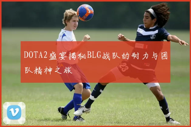 DOTA2盛宴揭秘BLG战队的耐力与团队精神之旅