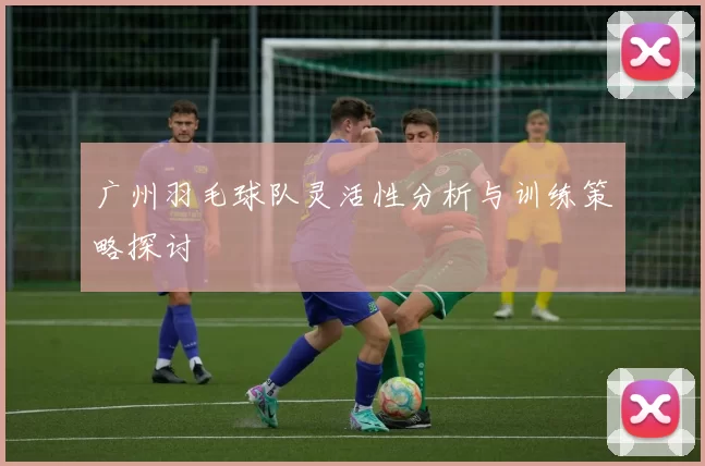 广州羽毛球队灵活性分析与训练策略探讨