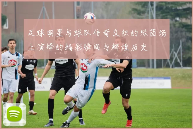 足球明星与球队传奇交织的绿茵场上演绎的精彩瞬间与辉煌历史