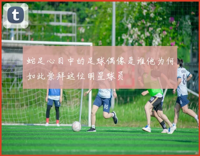 蛇足心目中的足球偶像是谁他为何如此崇拜这位明星球员