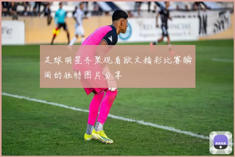 足球明星齐聚观看欧文精彩比赛瞬间的独特图片分享