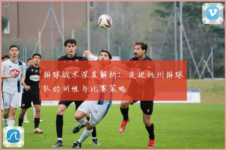 排球战术深度解析：走进杭州排球队的训练与比赛策略
