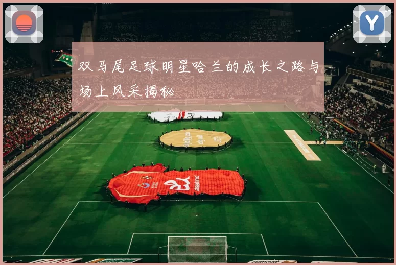 双马尾足球明星哈兰的成长之路与场上风采揭秘