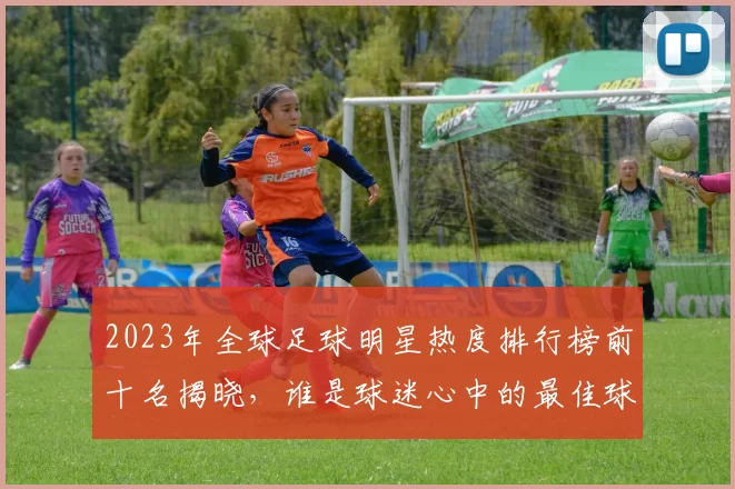 2023年全球足球明星热度排行榜前十名揭晓，谁是球迷心中的最佳球员