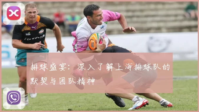 排球盛宴：深入了解上海排球队的默契与团队精神