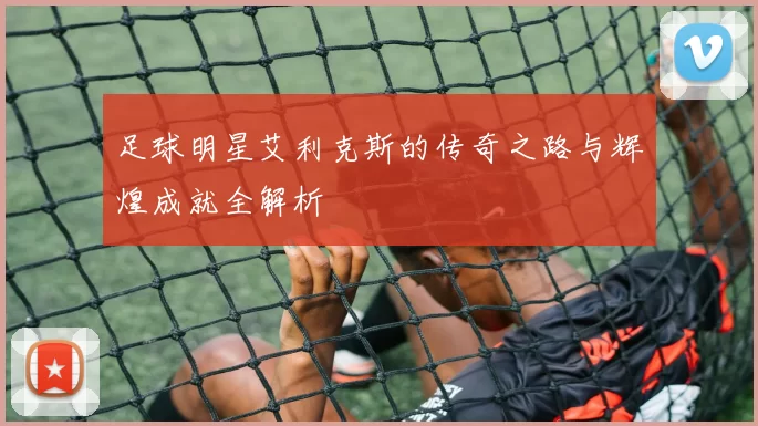 足球明星艾利克斯的传奇之路与辉煌成就全解析