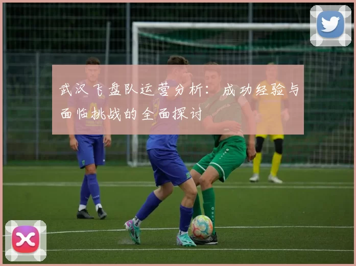 武汉飞盘队运营分析：成功经验与面临挑战的全面探讨