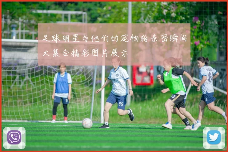 足球明星与他们的宠物狗亲密瞬间大集合精彩图片展示