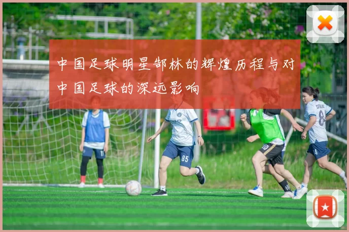中国足球明星郜林的辉煌历程与对中国足球的深远影响