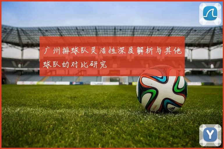 广州排球队灵活性深度解析与其他球队的对比研究