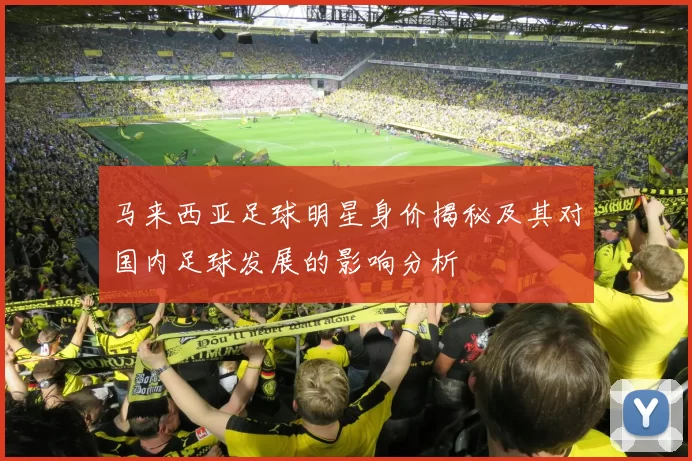 马来西亚足球明星身价揭秘及其对国内足球发展的影响分析