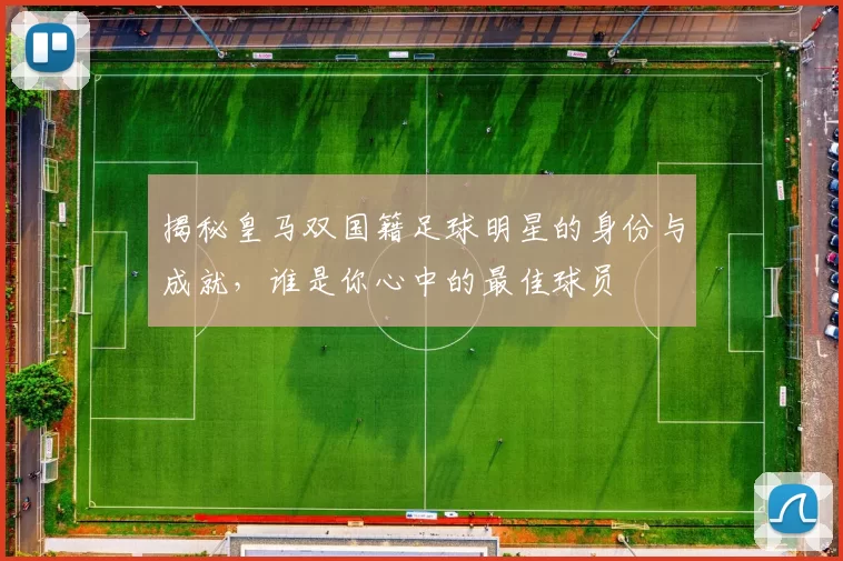 揭秘皇马双国籍足球明星的身份与成就，谁是你心中的最佳球员
