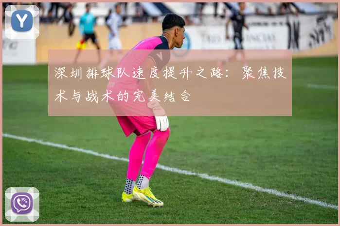 深圳排球队速度提升之路：聚焦技术与战术的完美结合