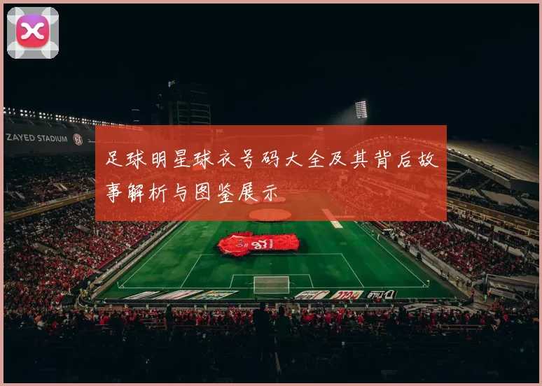 足球明星球衣号码大全及其背后故事解析与图鉴展示